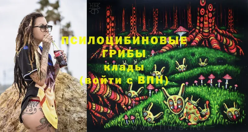 Псилоцибиновые грибы Magic Shrooms  darknet состав  Кинешма 